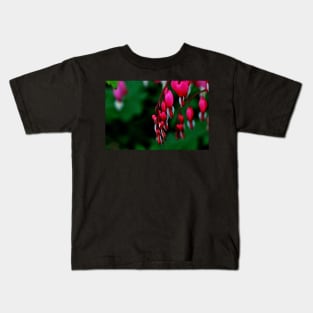 Lamprocapnos Spectabilis Kids T-Shirt